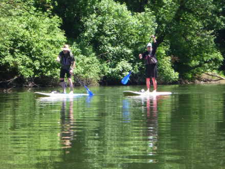 People using standup paddle boards on the Tualatin River